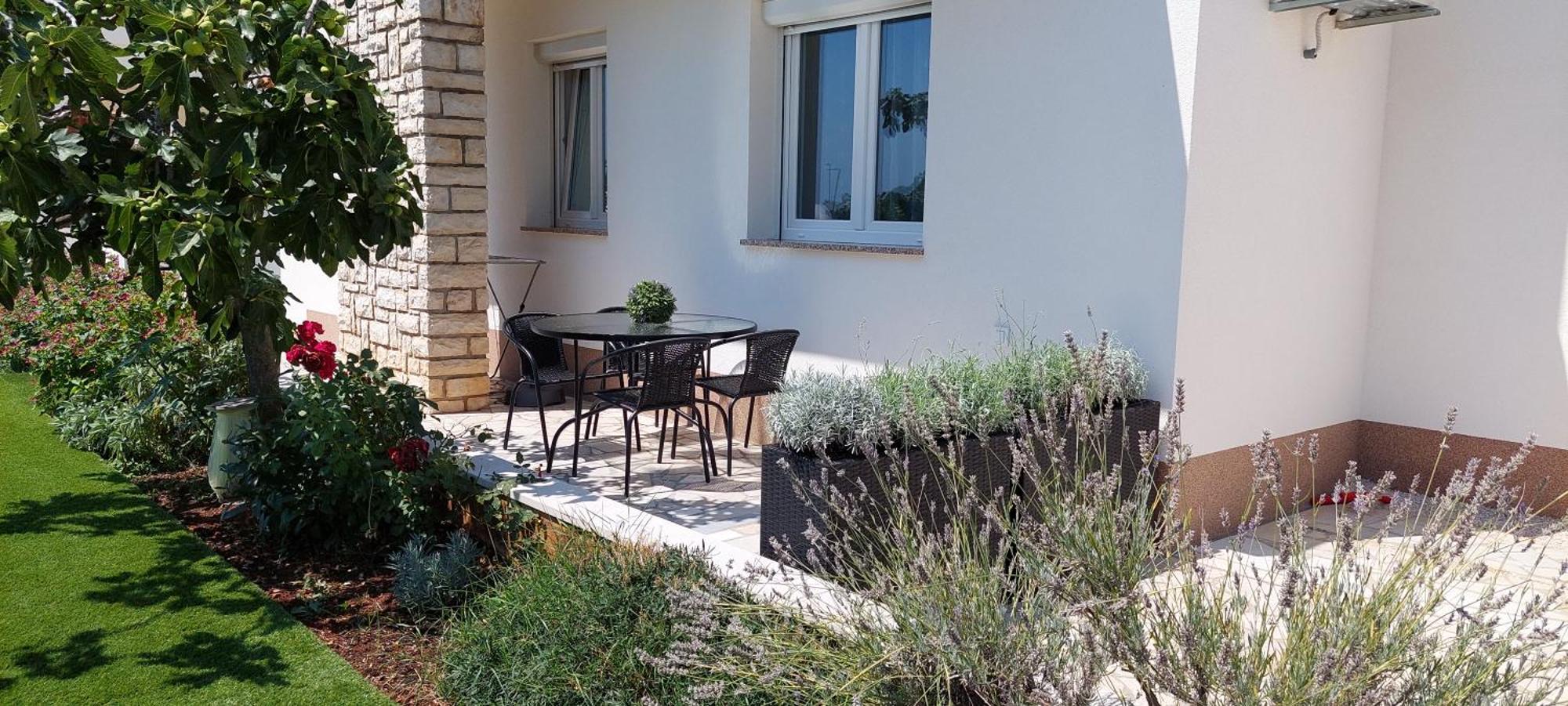 Palace Apartments Poreč Exterior foto